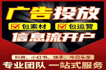 知名SEM服务公司成功案例分享